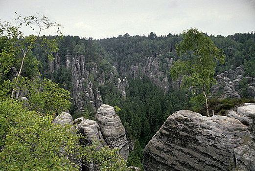 德国,风景,砂岩,岩石构造
