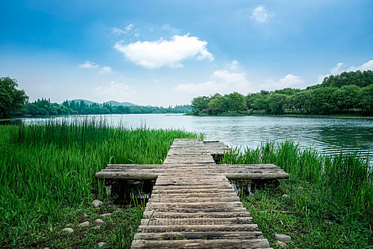 城市园林湖泊景观