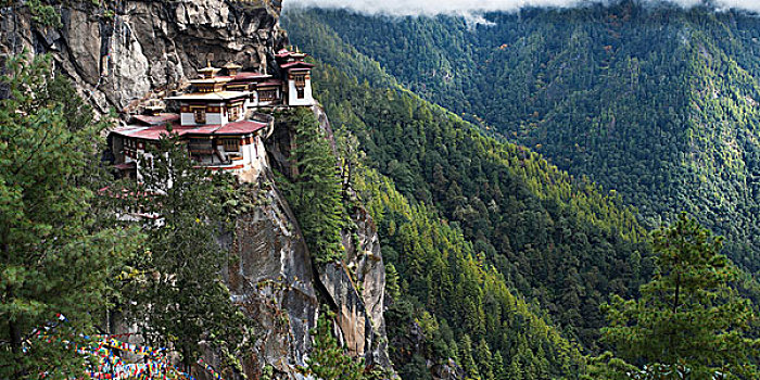 鸟窝,寺院,地区,不丹