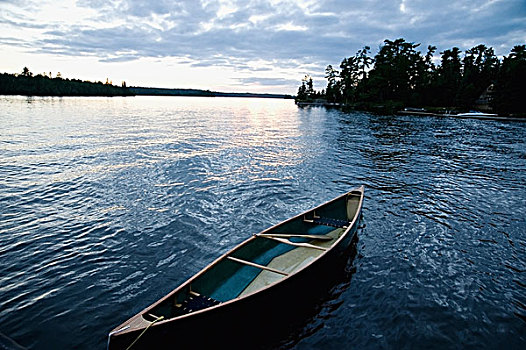 独木舟,湖,木,安大略省,加拿大