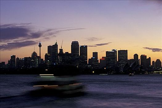 天际线,悉尼,夜晚,澳大利亚