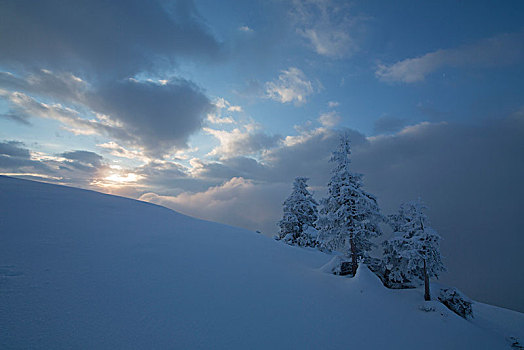 清晨,山,冬天,巴伐利亚阿尔卑斯山,巴伐利亚,德国