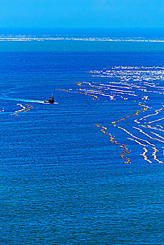 蔚蓝大海和金色沙滩,远景