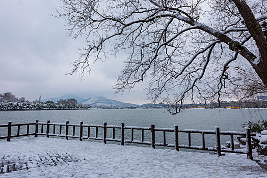 雪后玄武湖