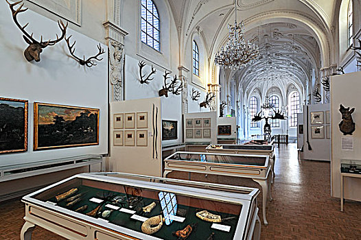 大厅,德国,猎捕,捕鱼,博物馆,慕尼黑,上巴伐利亚,巴伐利亚,欧洲