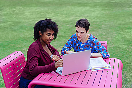两个女人,坐,户外,看,笔记本电脑