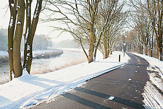 乡村道路,雪,冬天