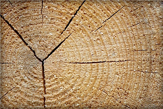 木头,缝隙
