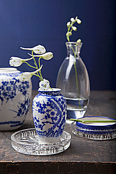 中国,花瓶,白色,蓝色,涂绘,装饰,燕草属植物,玻璃花瓶
