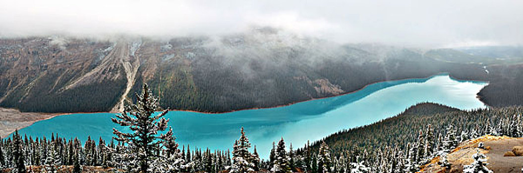 佩多湖,全景,冬天,雪,班芙国家公园,加拿大