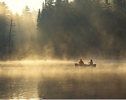 独木舟,阿尔冈金省立公园,安大略省,加拿大