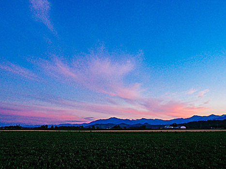 北海道,夏天