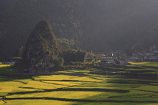 万峰林风光