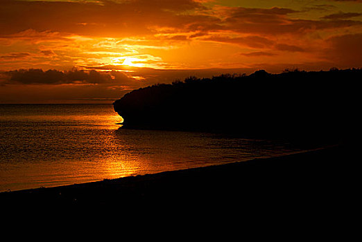 日落,水,海岸线,鲨鱼湾,西澳大利亚州