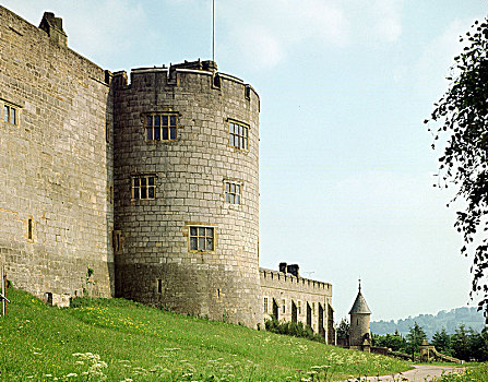 塔,城堡,威尔士,艺术家