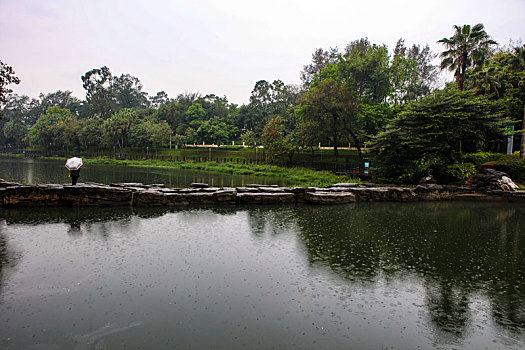 广州,白云仙馆,湿地公园,河道,水塘,植物,治理,树木,休闲,公园