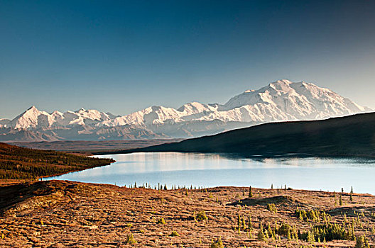 景色,旺湖,山,麦金利山,德纳里峰国家公园,保存,室内,阿拉斯加,秋天