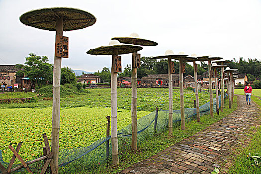 广东河源苏家围客家风情村