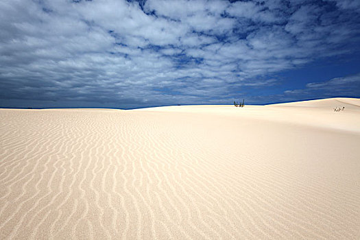 沙丘,蓝天,云,科拉莱霍,自然公园,富埃特文图拉岛,加纳利群岛,西班牙,欧洲