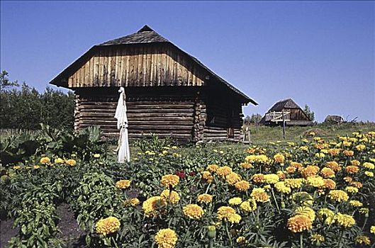 乌克兰,文化遗产,乡村,艾伯塔省,加拿大