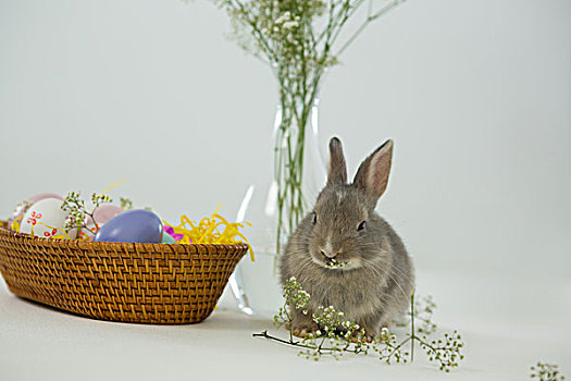 篮子,复活节彩蛋,复活节兔子,白色背景,背景