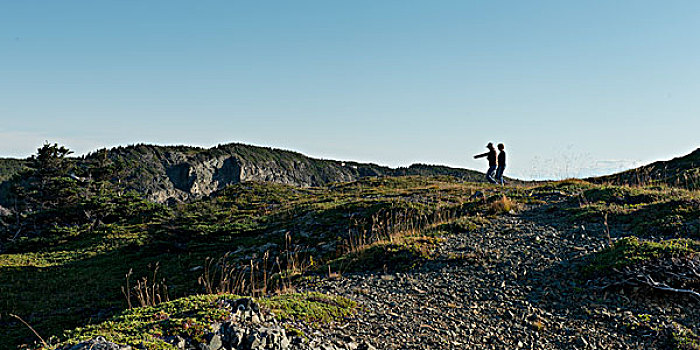 远足,徒步旅行,头部,特威林盖特,北方,特威林盖特岛,纽芬兰,拉布拉多犬,加拿大