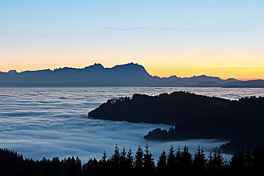 高,雾,晚上,山脉,山,靠近,奥地利,欧洲