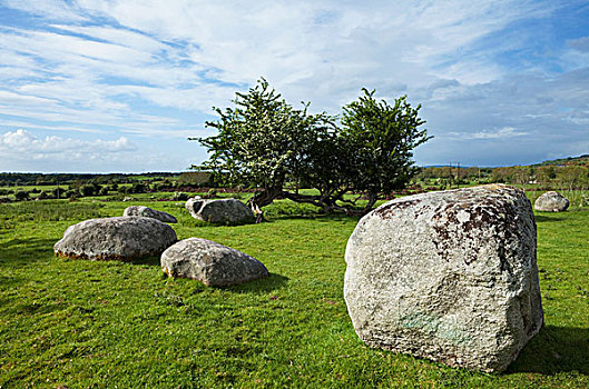 石头,青铜时代,巨石阵,靠近,好莱坞,威克洛郡,爱尔兰