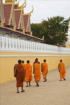 和尚,衣服,橙色,长袍,走,墙壁,金边,柬埔寨