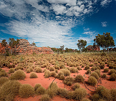 波奴鲁鲁国家公园,灌木,风景,北领地州,澳大利亚