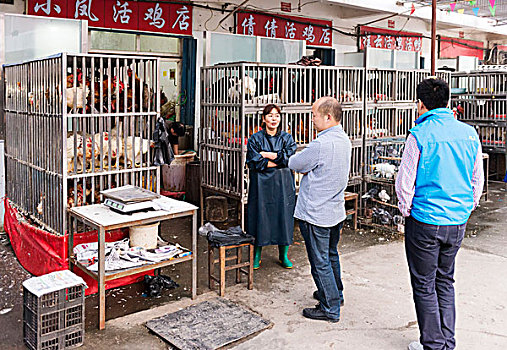 女人,销售,生活方式,鸡,食品市场,郑州,河南,中国,亚洲
