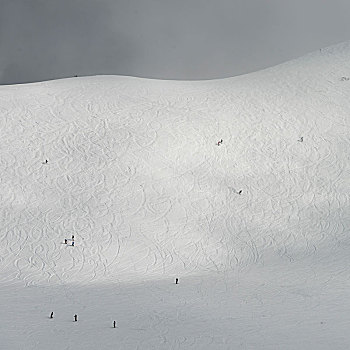 旅游,滑雪板,积雪,山,惠斯勒,不列颠哥伦比亚省,加拿大