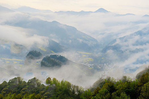 云雾山中