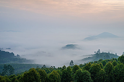 春天山野雾景