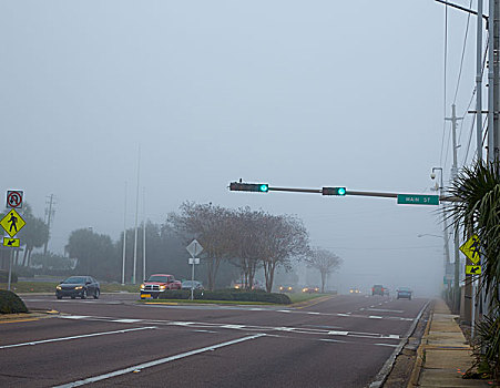 雾状,雾气,早晨,佛罗里达,交通,汽车,美国
