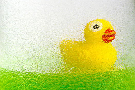 黄色,橡皮鸭,绿色,油,泡泡
