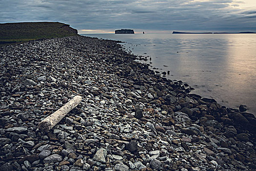 石头,海滩,冰岛