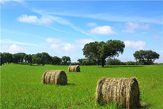 干草,地点,葡萄牙