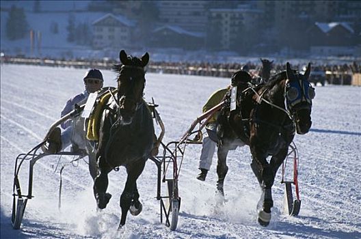 快跑,比赛,骑师,驾驶,马拉,雪撬,冰冻,湖,圣莫里茨