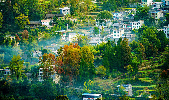 重庆酉阳,乡村初冬,枫,景如画