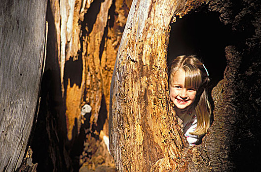 孩子,3岁,凝视,室外,洞,中空,树干,巨杉,红杉国家公园,加利福尼亚
