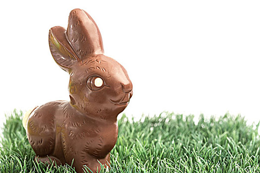 巧克力兔,兔子,草地