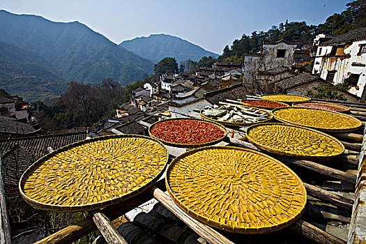 婺源,春天,油菜花,徽派,建筑,篁岭,晒秋,风情,风景,风光,乡村,民居