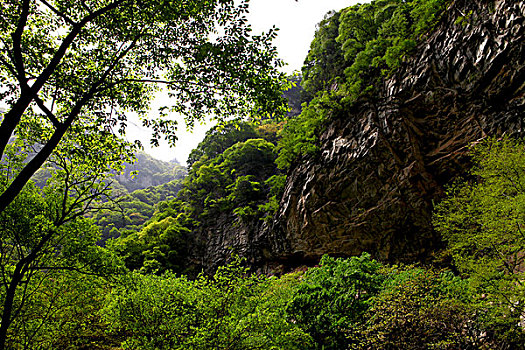 秦岭太白山