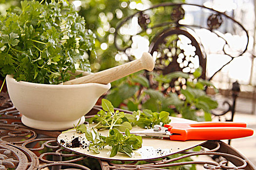 安放,药草,研钵,花园桌