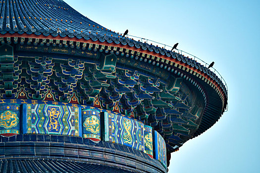 天坛,北京,喜鹊
