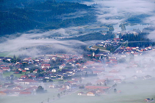 早晨,雾气,风景,陆地,上巴伐利亚,巴伐利亚,德国,欧洲