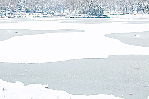 雪景