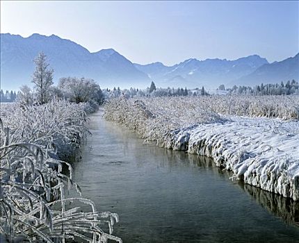 溪流,自然保护区,上巴伐利亚,德国