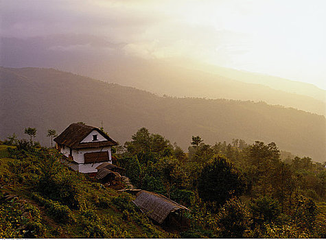 农田,风景,薄雾,尼泊尔
